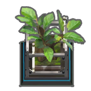 文件:头像 装置 观赏植物.png
