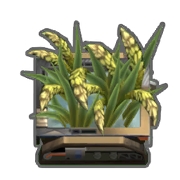 文件:头像 装置 稻谷种植槽.png