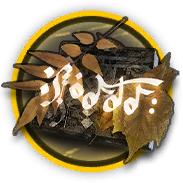 文件:道具 带框 调律追忆.png