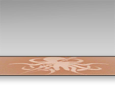 文件:家具 主题地毯.png