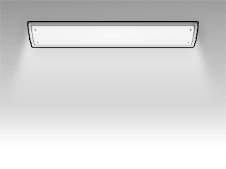 文件:家具 囚室顶灯.png