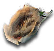 文件:生息演算 资源 干亚麻.png