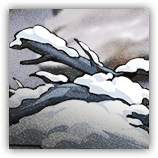 文件:头像 敌人 积雪银凇.png