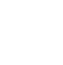 解放者
