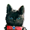 头像 Miss.Christine.png