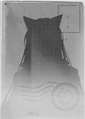 2026年5月31日 (日) 10:49版本的缩略图