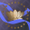 争锋频道 用户头像 14.png