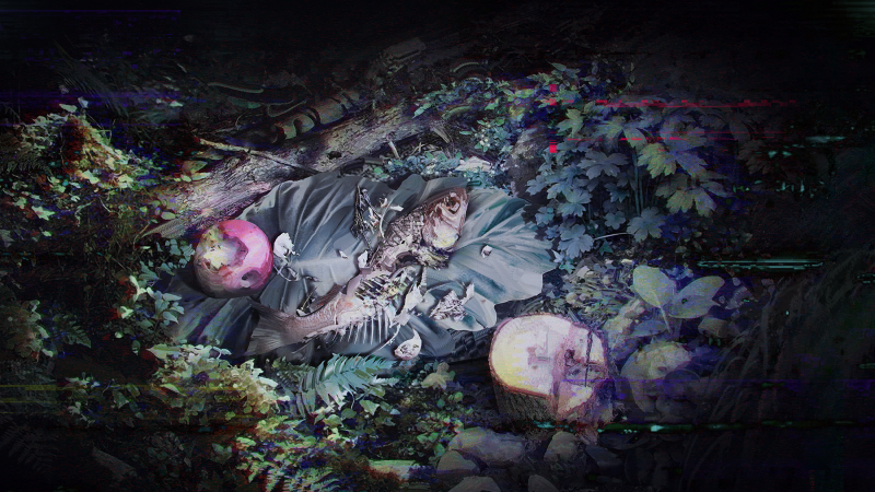 文件:Avg pic rogue 6 8.png